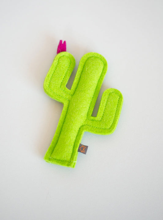 KITTY CACTUS - Southlake Paws