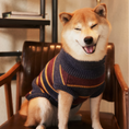 Load image into Gallery viewer, The Chai | Gray & Mustard Striped Turtleneck Dog Sweater
