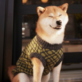 Load image into Gallery viewer, The Matcha | Olive Green Ribbed Knit Dog Sweater
