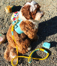 Load image into Gallery viewer, HARNESS - SUNSHINE BABE
