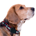Load image into Gallery viewer, Columbus Blue Jackets Satin Collar
