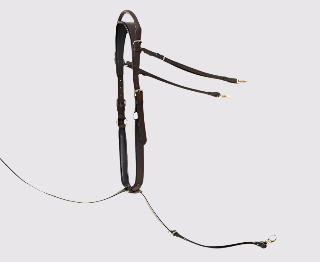 Standing Martingale Add-on for Double Neck Strap by Southlake Paws, featuring adjustable leather straps and gold hardware.