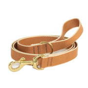 Color Market Dog Lead