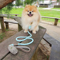 Load image into Gallery viewer, LEASH - DESERT MINT

