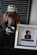 Load image into Gallery viewer, Parisian Pet 'Furry Inmate' Black and White Stripes Halloween Costume - Funny Prison Design for Cats & Dogs

