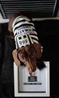 Load image into Gallery viewer, Parisian Pet 'Furry Inmate' Black and White Stripes Halloween Costume - Funny Prison Design for Cats & Dogs
