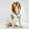 Load image into Gallery viewer, Boston Celtics Basketball RoadJersey
