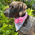 Load image into Gallery viewer, Cherry Blossoms Bandana Dog Collar With Bow - Southlake Paws
