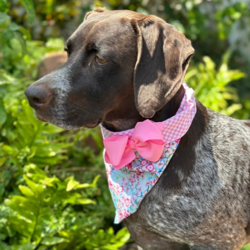 Cherry Blossoms Bandana Dog Collar With Bow - Southlake Paws
