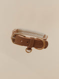 Load image into Gallery viewer, Lilco Braided-Collar | Moonbeam
