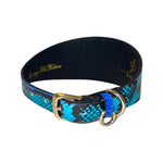 Electric/Turquoise Blue & Black Custom Snake 4” Wide Style Collar