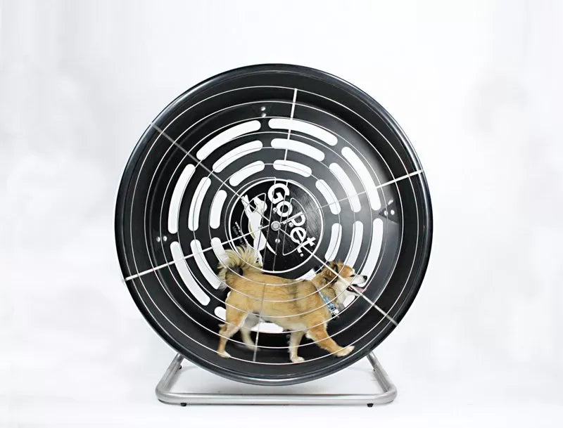 GoPet CG 4012D TreadWheel for Toy & Small Breed Dogs