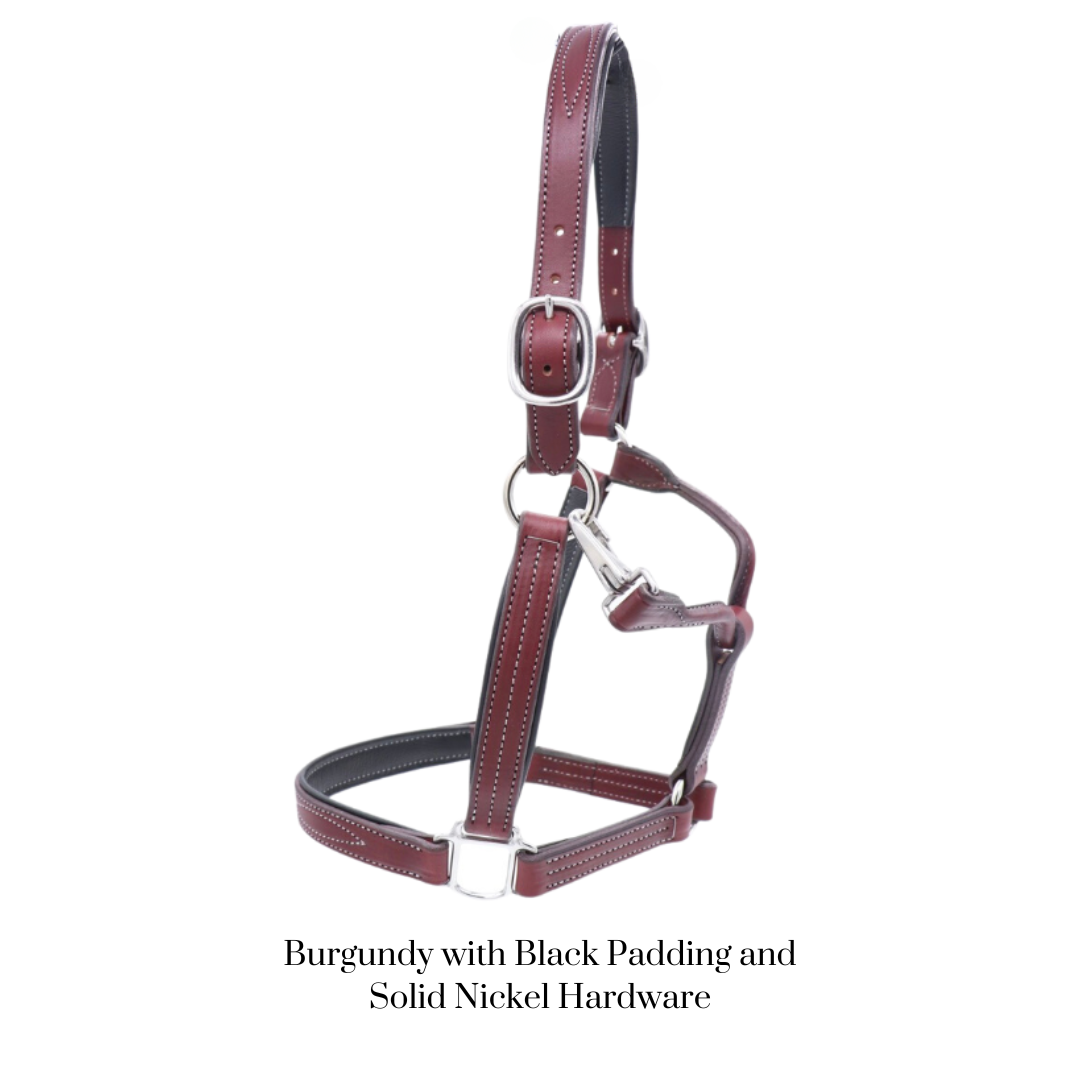 GHC Padded Halter