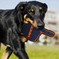 Load image into Gallery viewer, Chicago Bears #1 Fan Toy
