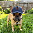Load image into Gallery viewer, NFL Chicago Bears Dog Hat

