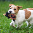 Load image into Gallery viewer, Chicago Bears Plush Hedgehog Toy
