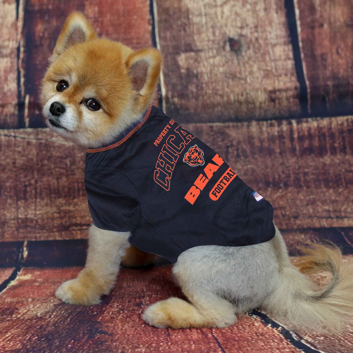 NFL Chicago Bears Dog T-Shirt