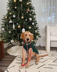 Load image into Gallery viewer, Reindeer Sweater
