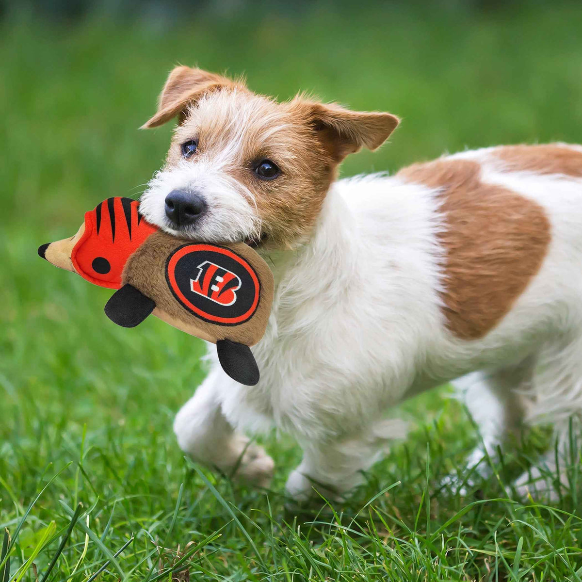 Cincinnati Bengals Plush Hedgehog Toy