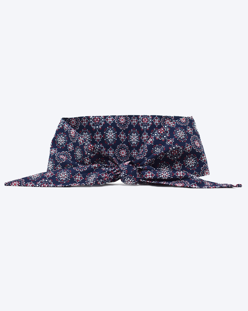 CLASSIC NECKTIE - Southlake Paws
