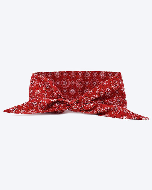 CLASSIC NECKTIE - Southlake Paws