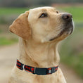 Load image into Gallery viewer, Cleveland Browns Satin Collar
