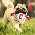 Load image into Gallery viewer, Cleveland Guardians Nylon Baseball Rope Toy
