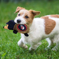 Load image into Gallery viewer, Cleveland Guardians Plush Hedgehog Toy
