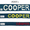 Load image into Gallery viewer, Personalized Collar
