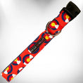 Load image into Gallery viewer, Colorado and Texas Dog Collars, Leads, and Bows - 5 Styles
