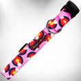 Load image into Gallery viewer, Colorado and Texas Dog Collars, Leads, and Bows - 5 Styles
