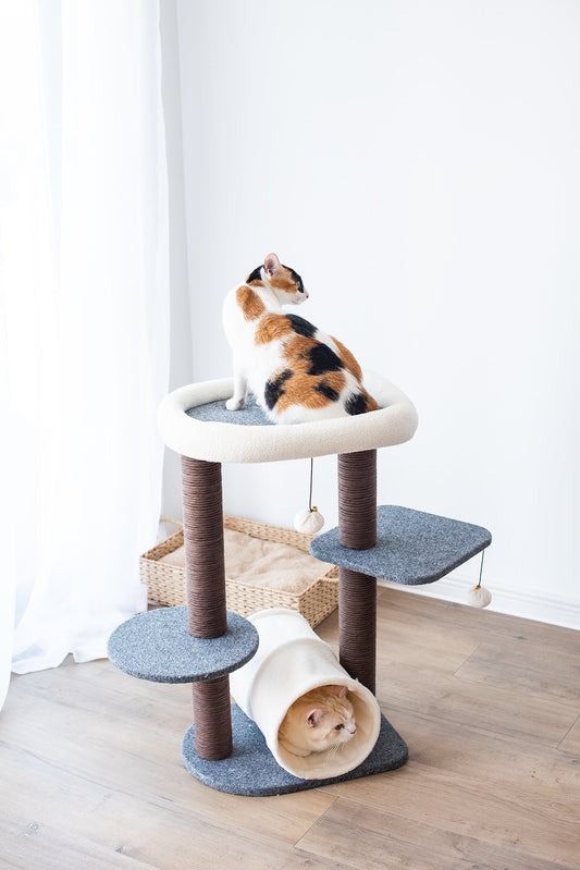 Lifted Multifunctional Cat Tree