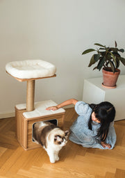 Cedar Wooden Cat Tree Condo with Natural Jute Rope Scratching Post
