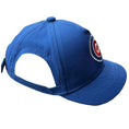Load image into Gallery viewer, MLB Chicago Cubs Dog Hat
