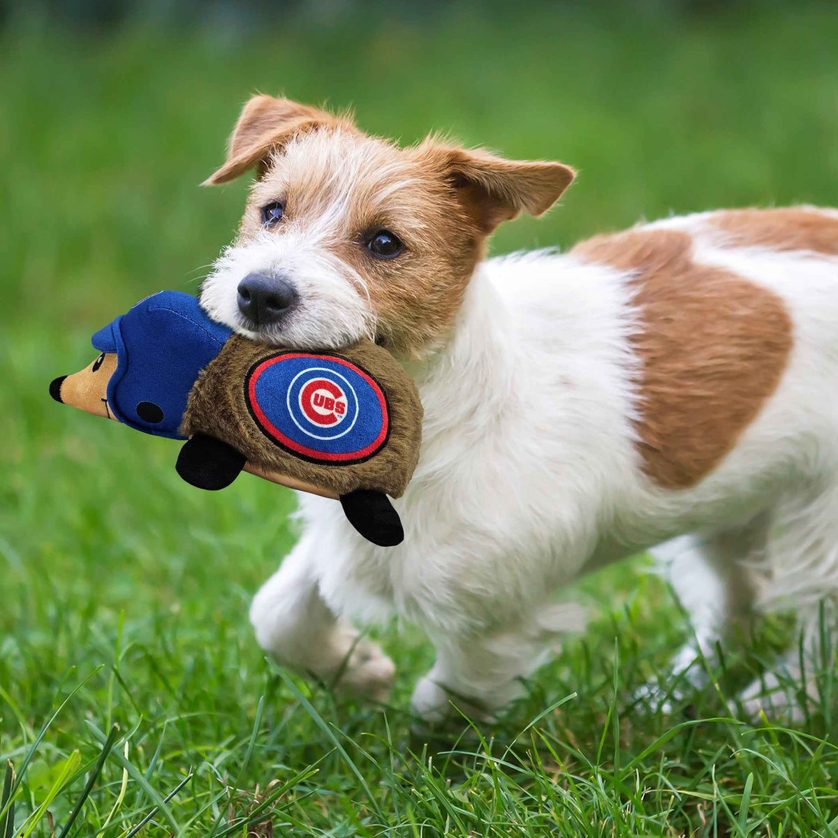 Chicago Cubs Plush Hedgehog Toy
