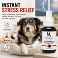 Load image into Gallery viewer, Southlake Paws Essential Oil Dog Calming Spray in a spray bottle, with a dog looking relaxed in the background.
