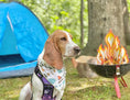 Load image into Gallery viewer, Camping Scene Bandana
