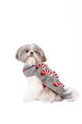 Load image into Gallery viewer, Candy Cane Dog Sweater

