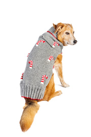 Candy Cane Dog Sweater