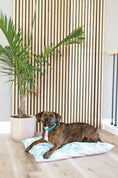 Load image into Gallery viewer, Capri Dog Bed
