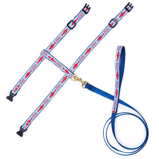 Catch of the Day Cat Harness Set