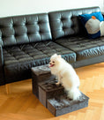 Load image into Gallery viewer, Catry Charcoal 2-in-1 Foldable Pet Stairs
