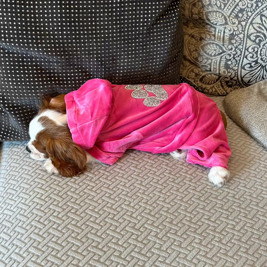 Isaac Mizrahi Doggie Velour Tracksuit