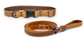 Load image into Gallery viewer, Celtic Sport Leather Collar and Leash Set
