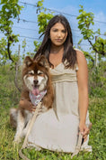Load image into Gallery viewer, Champagne Fizz Vegan Leather Dog Collar - Southlake Paws
