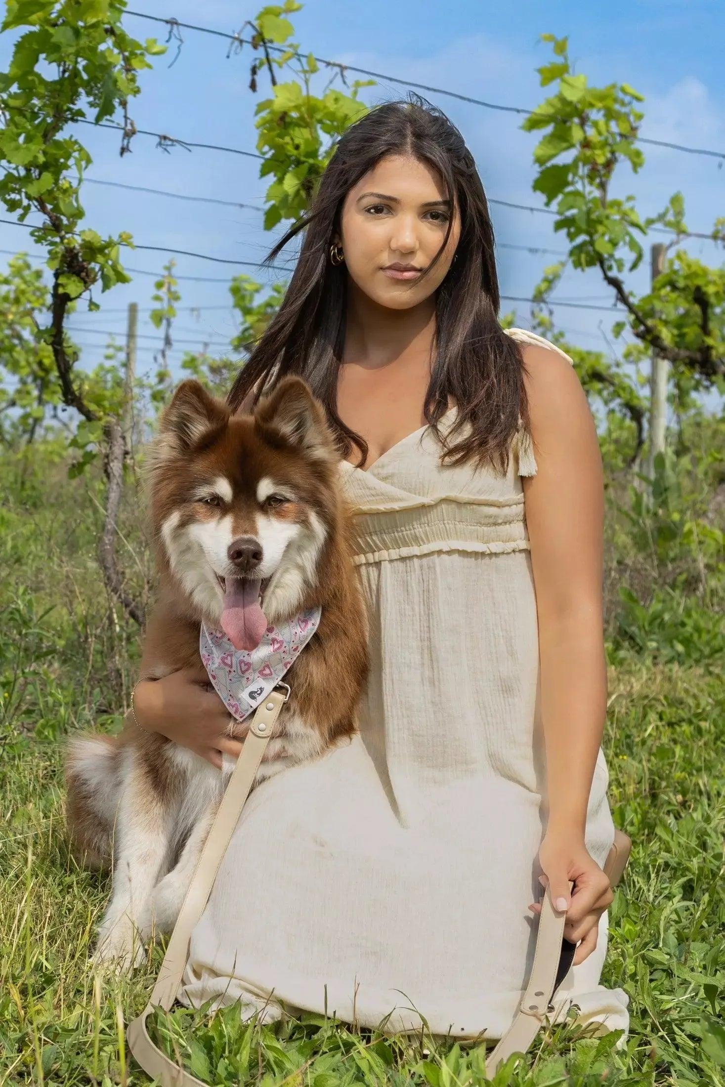Champagne Fizz Vegan Leather Dog Leash - Southlake Paws