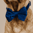 Load image into Gallery viewer, Channing Dog Bow Tie
