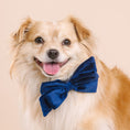 Load image into Gallery viewer, Channing Dog Babe Bow
