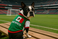 Load image into Gallery viewer, Parisian Pet 'Team Mexico' Dog & Cat T-Shirt – Patriotic Dog Shirt, Perfect for Soccer Fans – Red, White, Green
