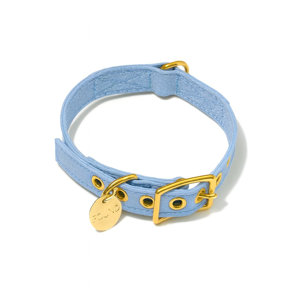 Light Blue Cotton Canvas Cat & Dog Collar